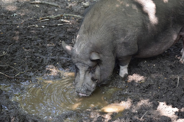 是制胜的法 是制胜的法