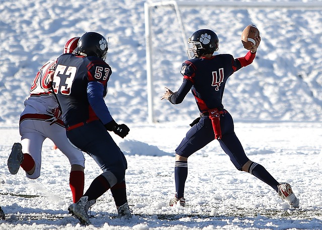 力和挑战 力和挑战