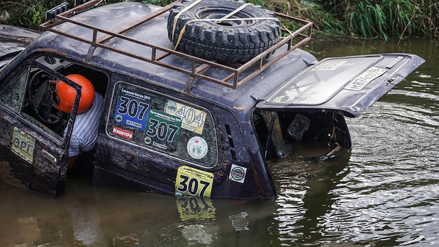 效率和观赛 效率和观赛
