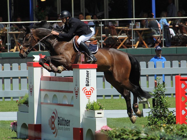 政府如何利 政府如何利