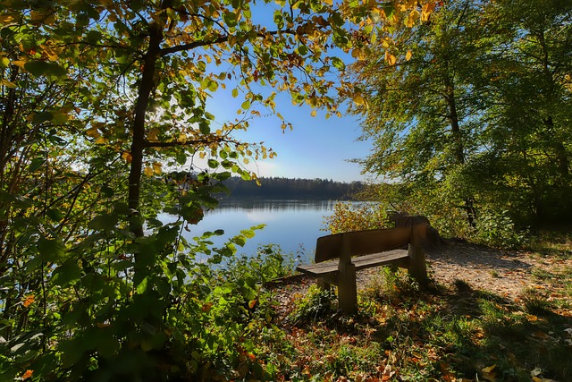 康的影响 康的影响