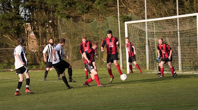 术执行和球 术执行和球