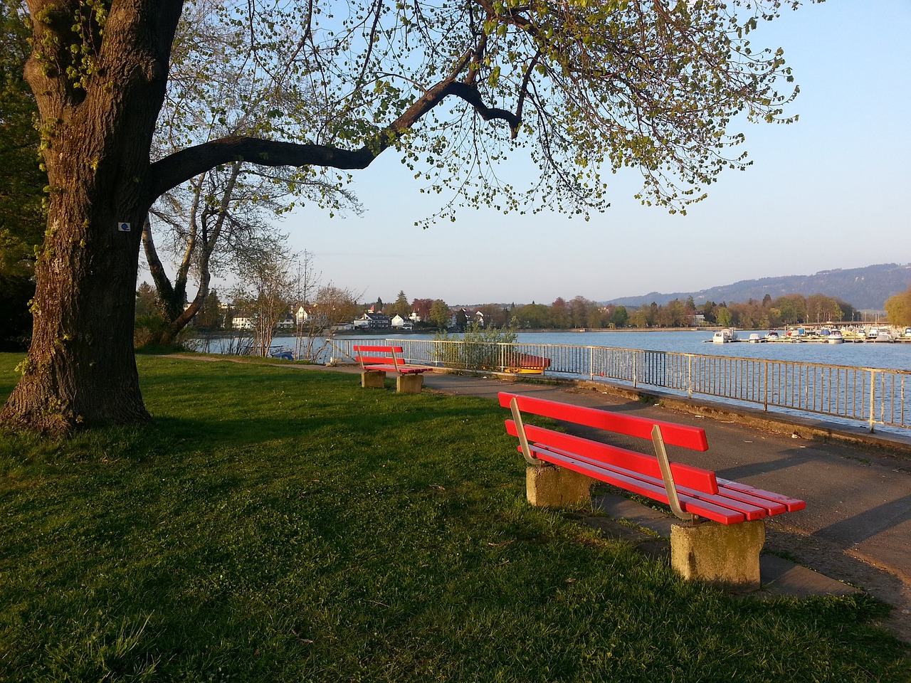 名的高度 名的高度